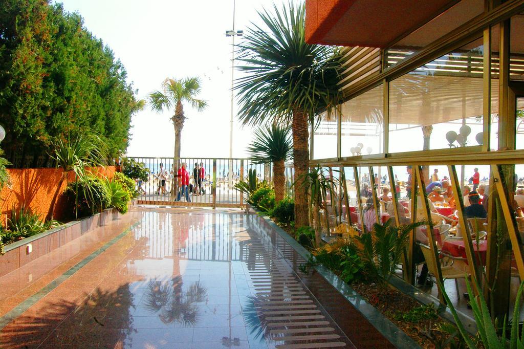 Apartamentos Torre Don Vicente - Arca Rent ベニドルム エクステリア 写真